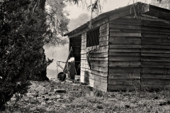 Work Shed